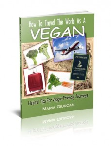 howtotravelvegan4