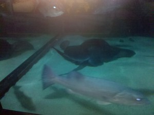 IMG_20111118_143341