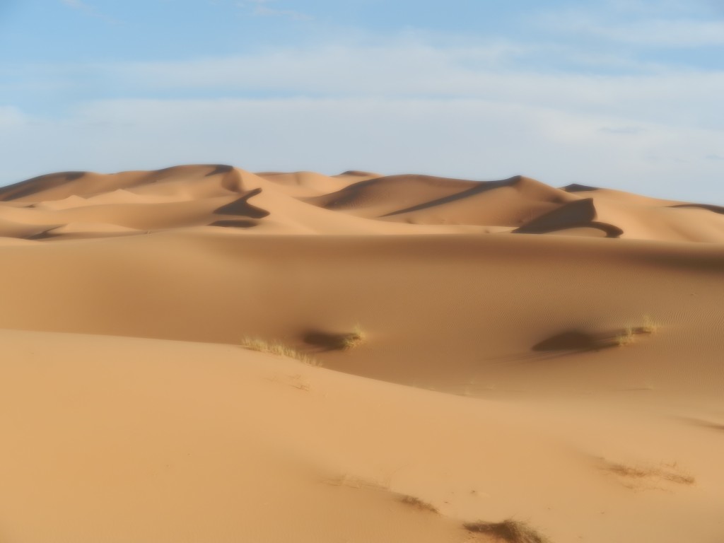 saharasanddunes