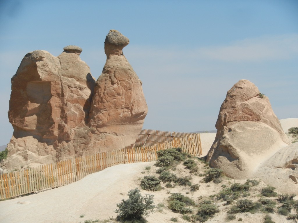 camelrock