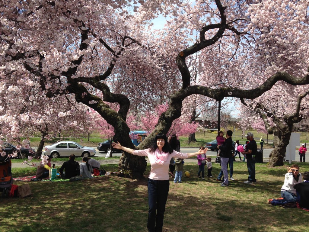 newarkcherryblossomfestival