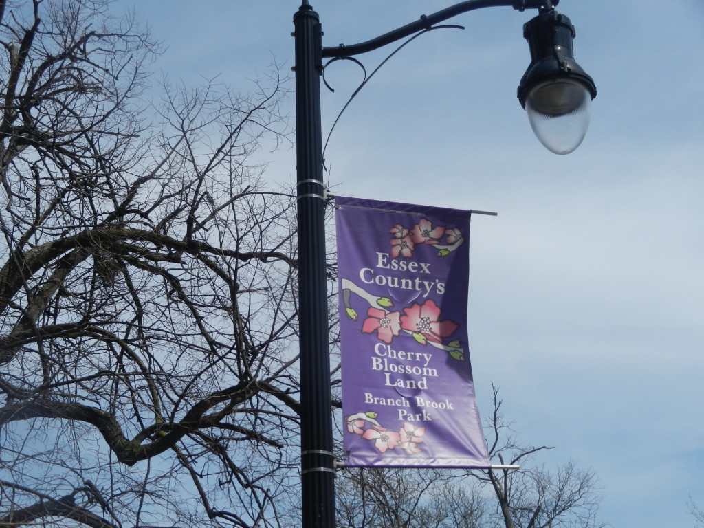 cherryblossomfestivalentrance