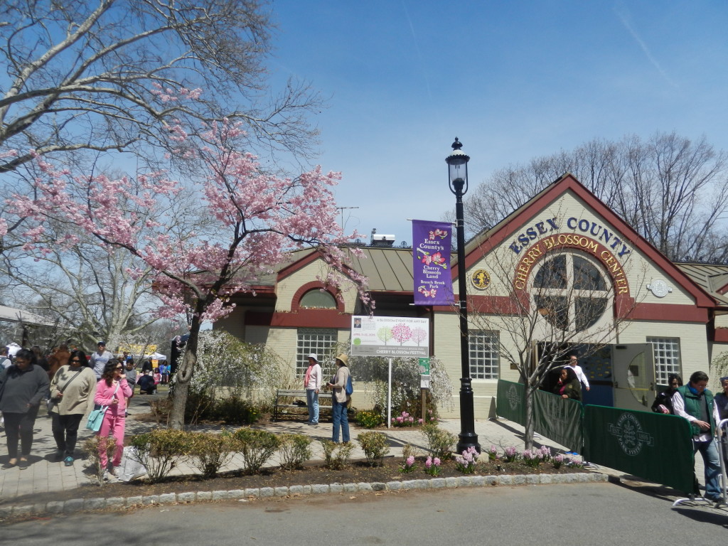 newarkcherryblossomfestivalwelcomecenter