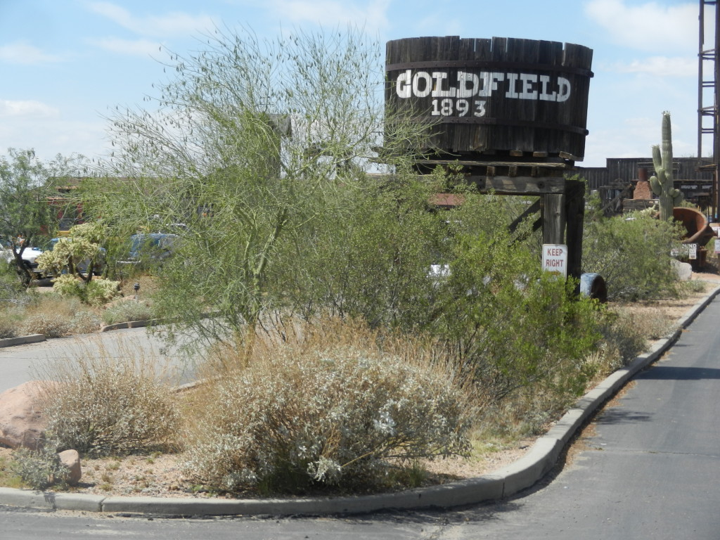 goldfieldbucket