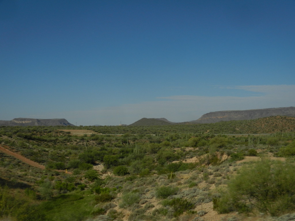 firstrocksvalleycactionway