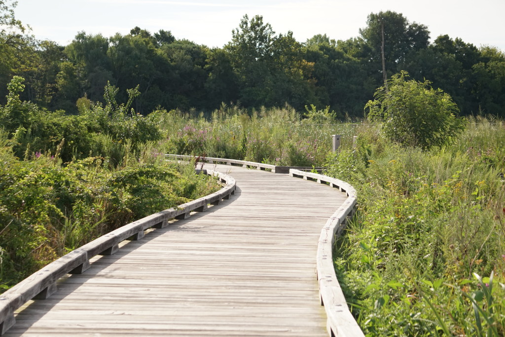 refugeboardwalk