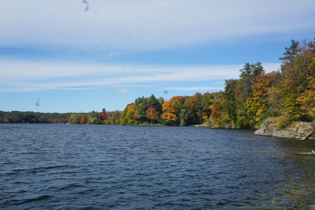 firstlakefoliage