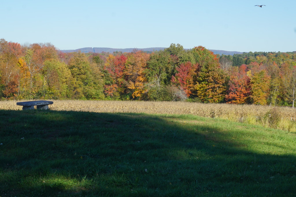 foliagebench