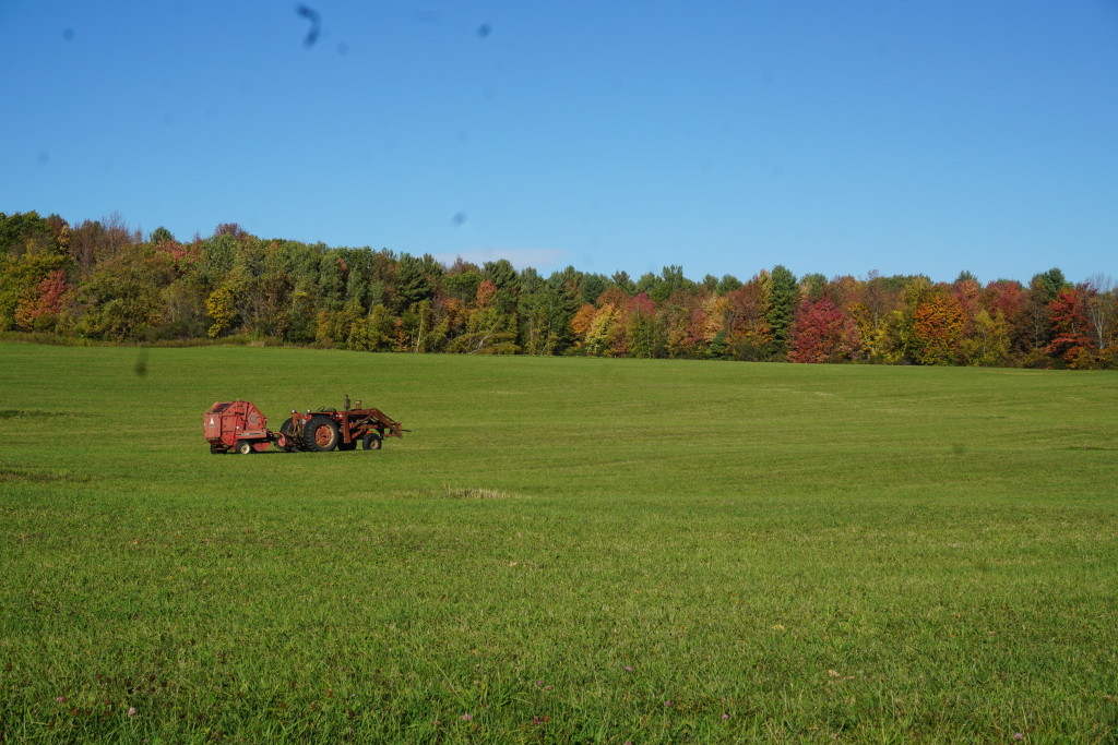 hancocktractortrees