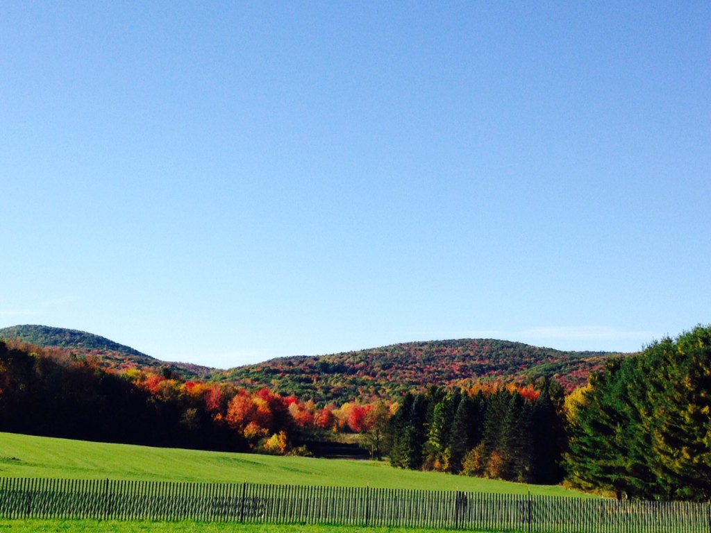 foliagerichmondroadfencemountain