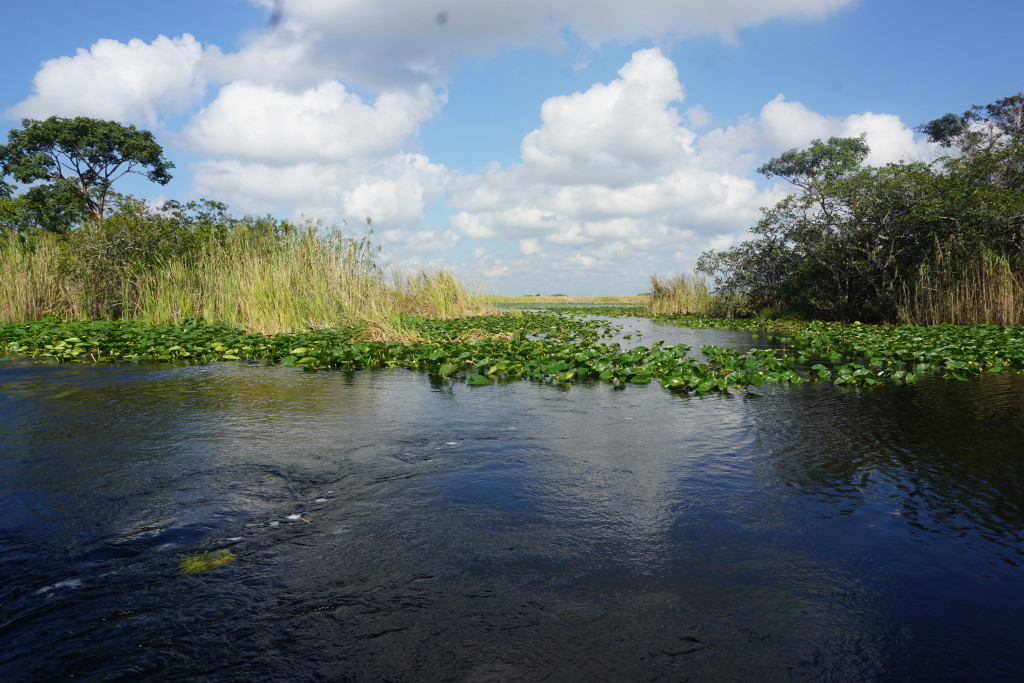 longsidevieweverglages