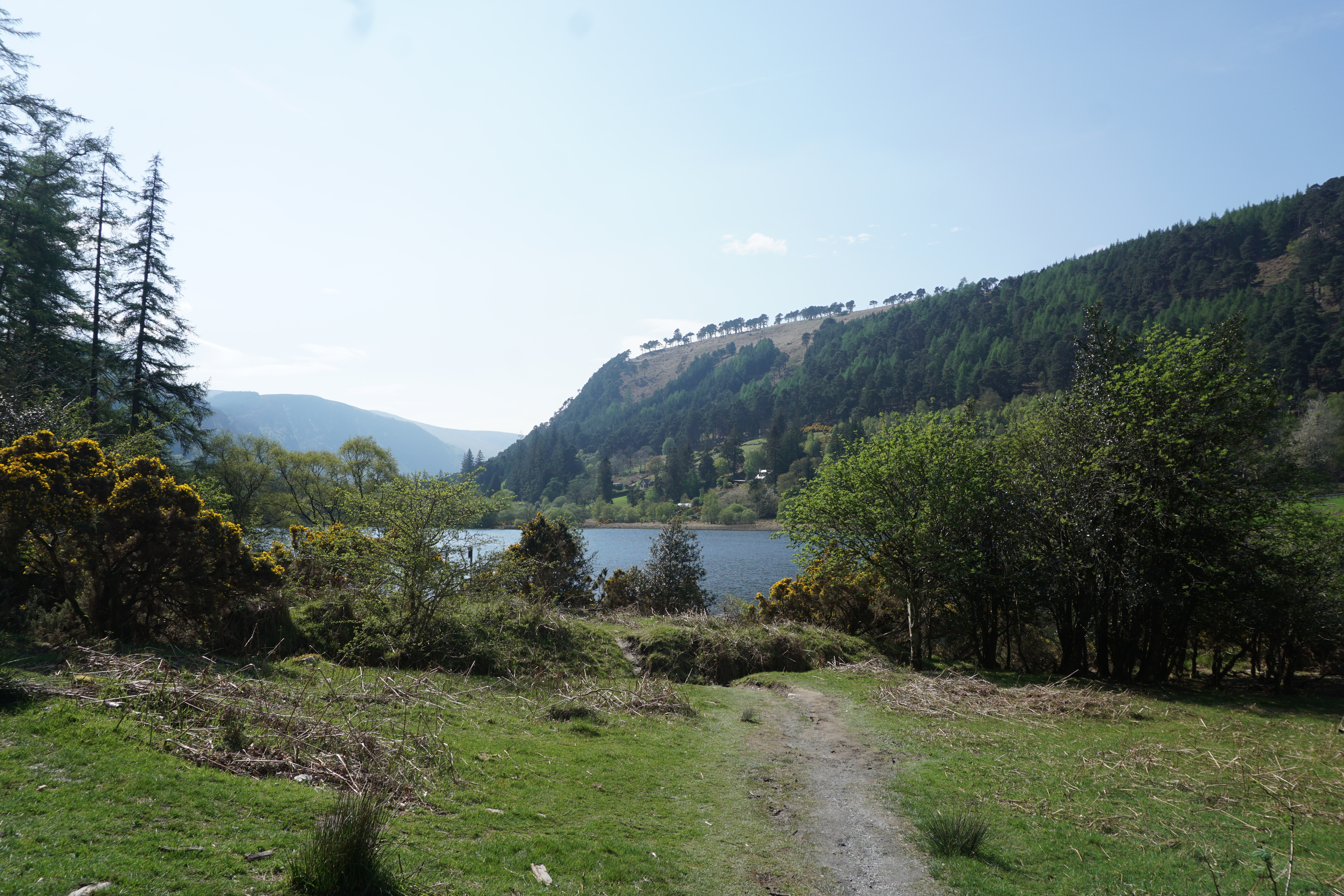 glendaloughlakefar