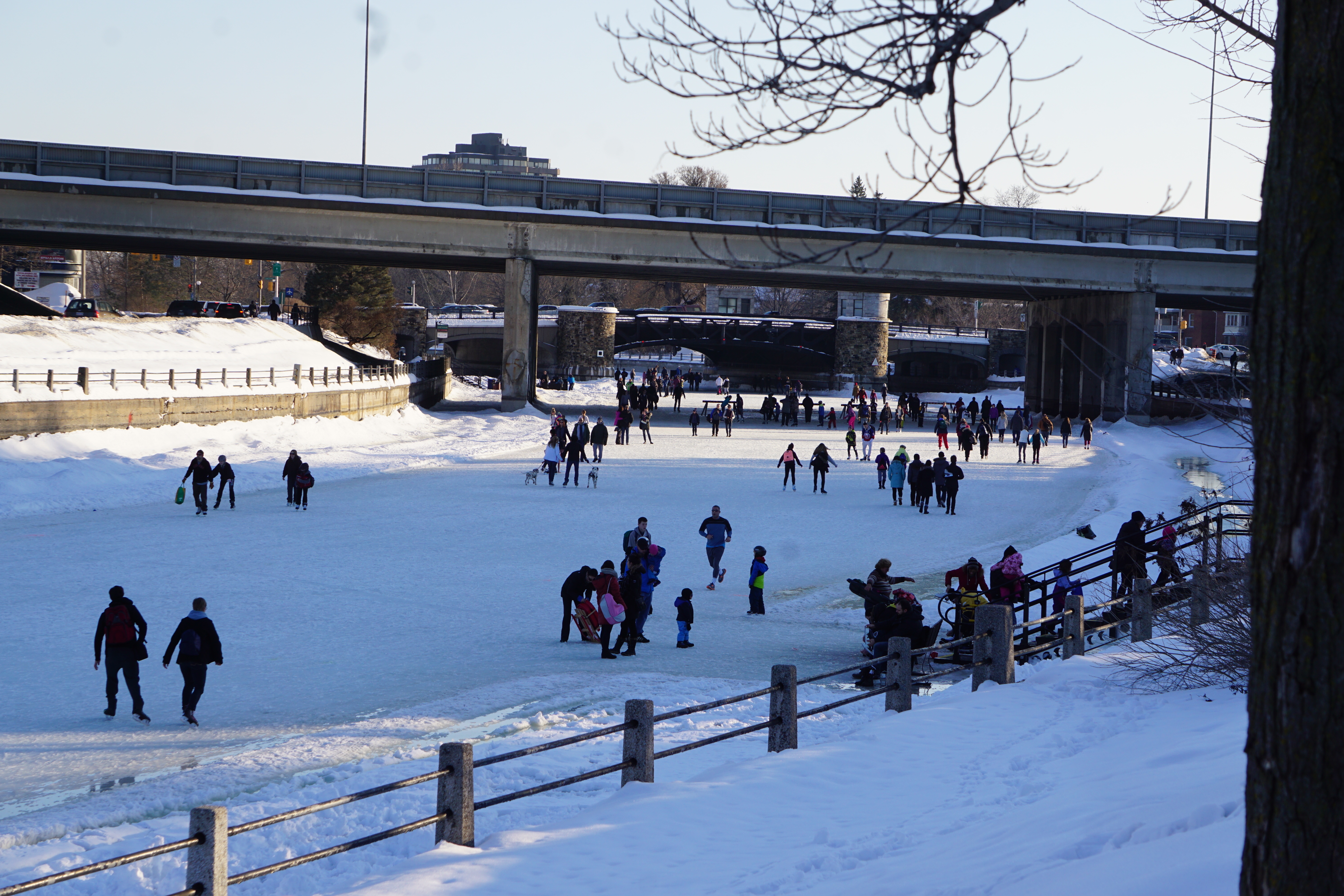 iceskatingrideaucanal