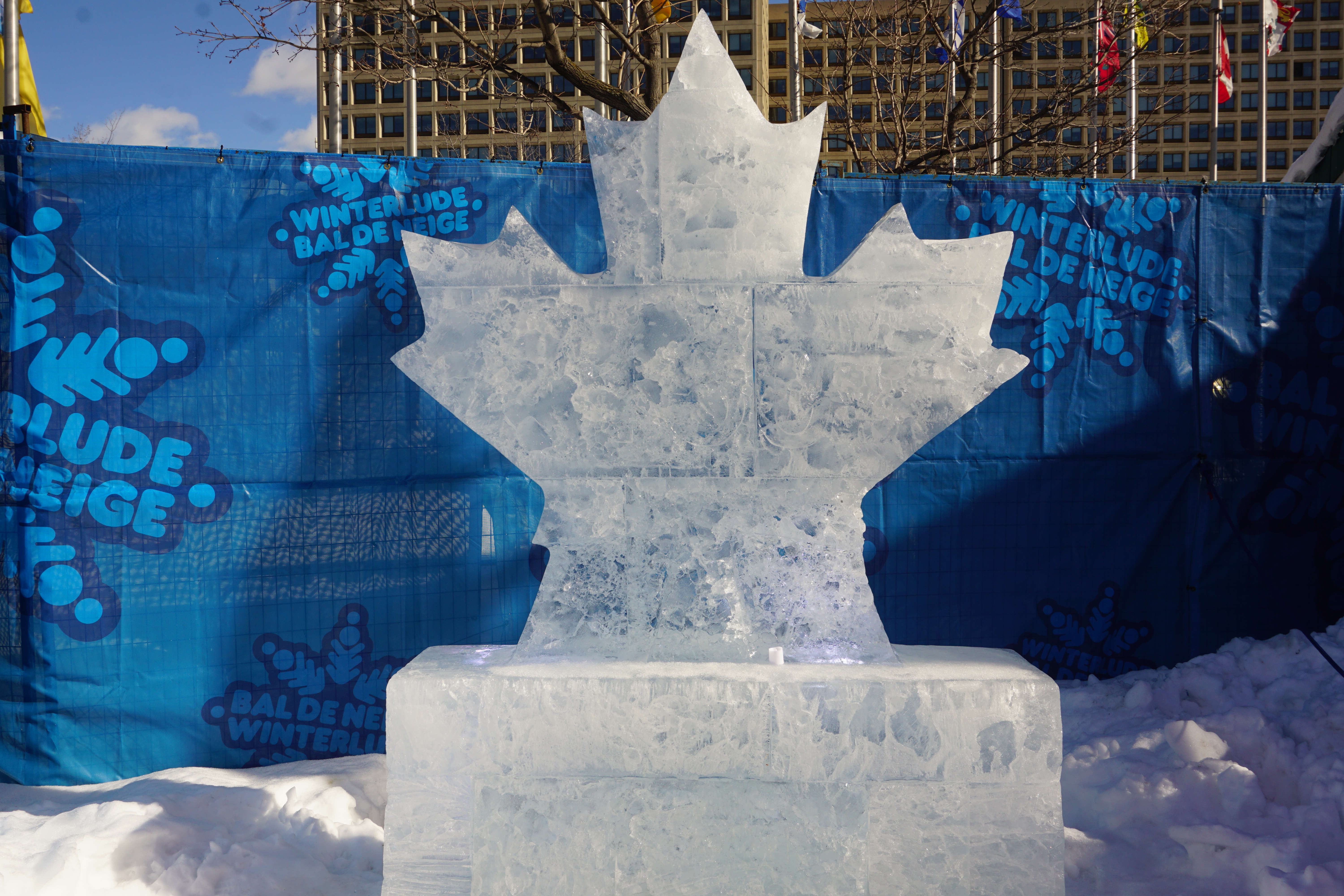 snowsculptcanadianleaf