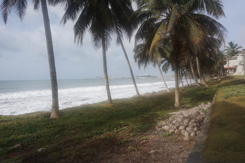 palmtreesoceanbehindelminaresort