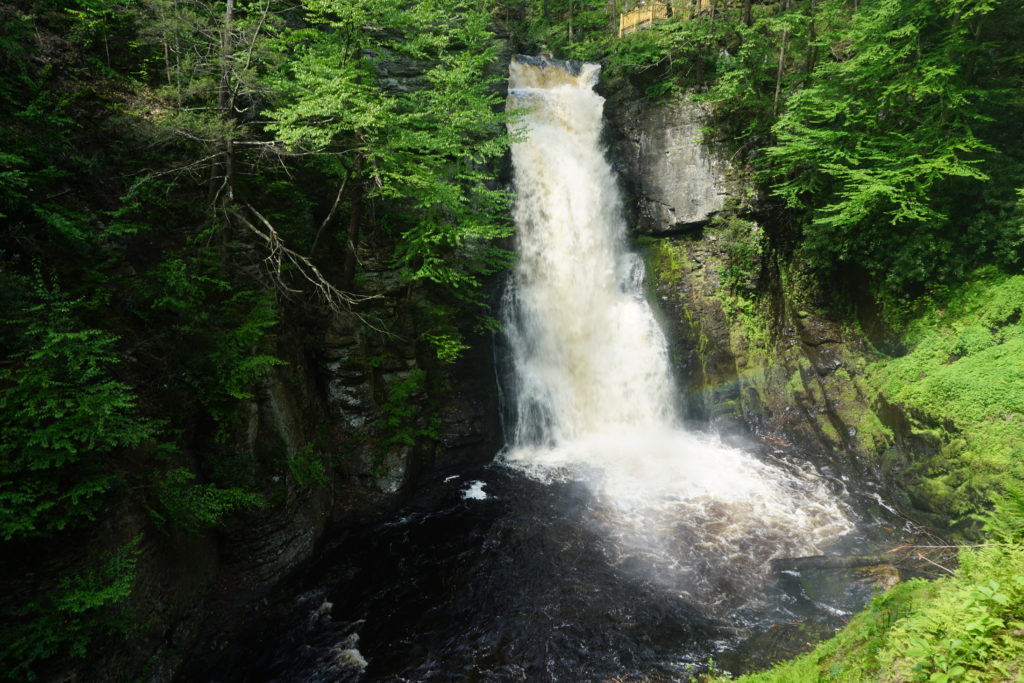 bushkillfalls