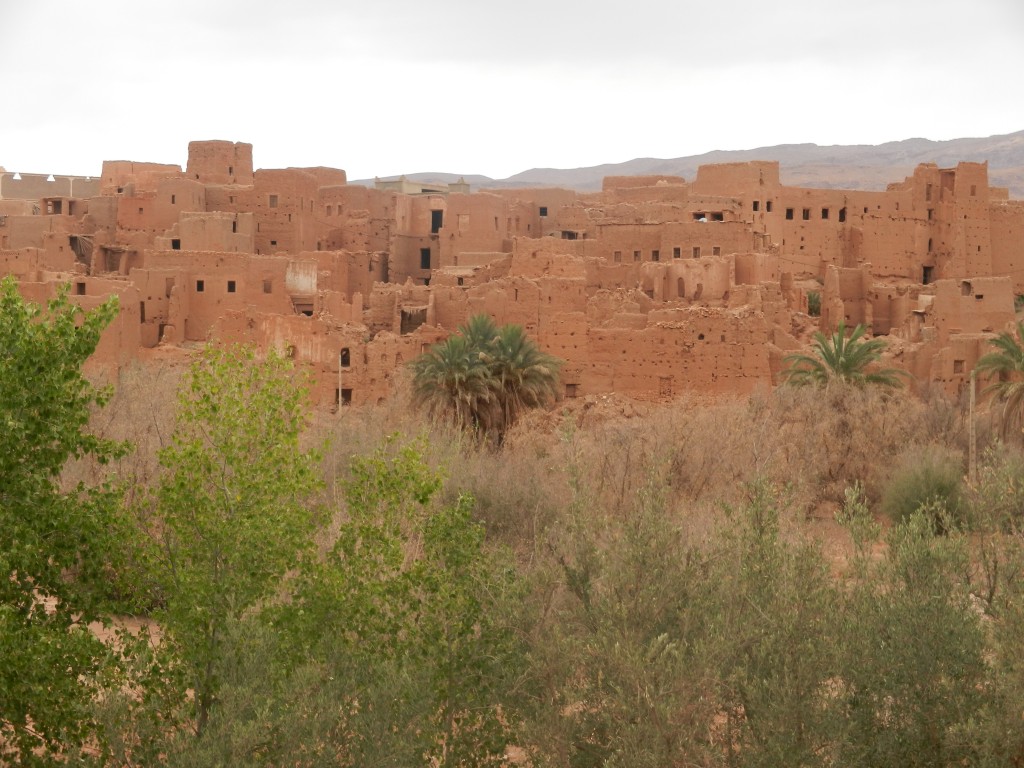 My Vegan Journey from Erfoud to Ouazazarte, Morocco