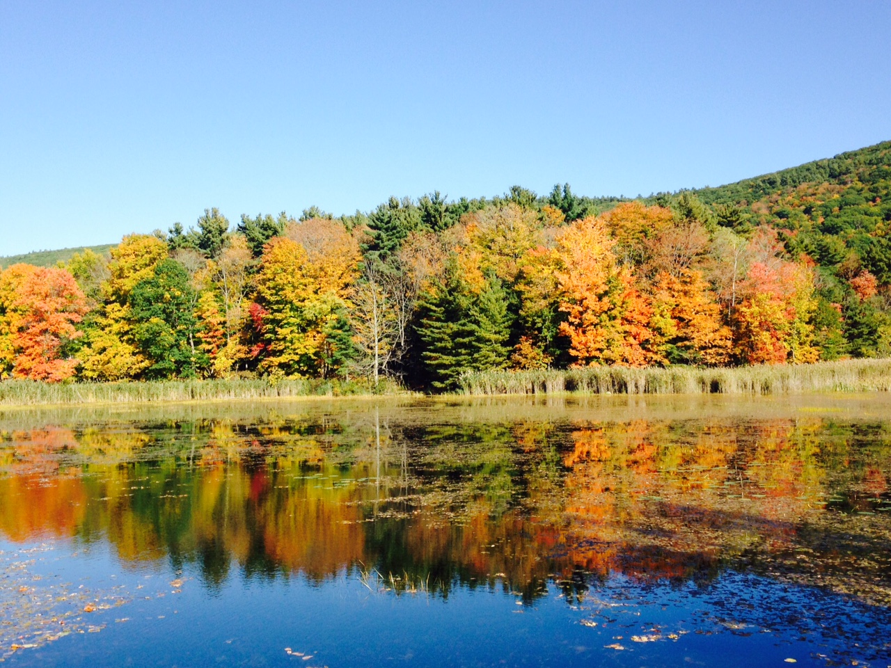 Fall Foliage, the Arts, and Vegan Dining in the Berkshires of Western ...
