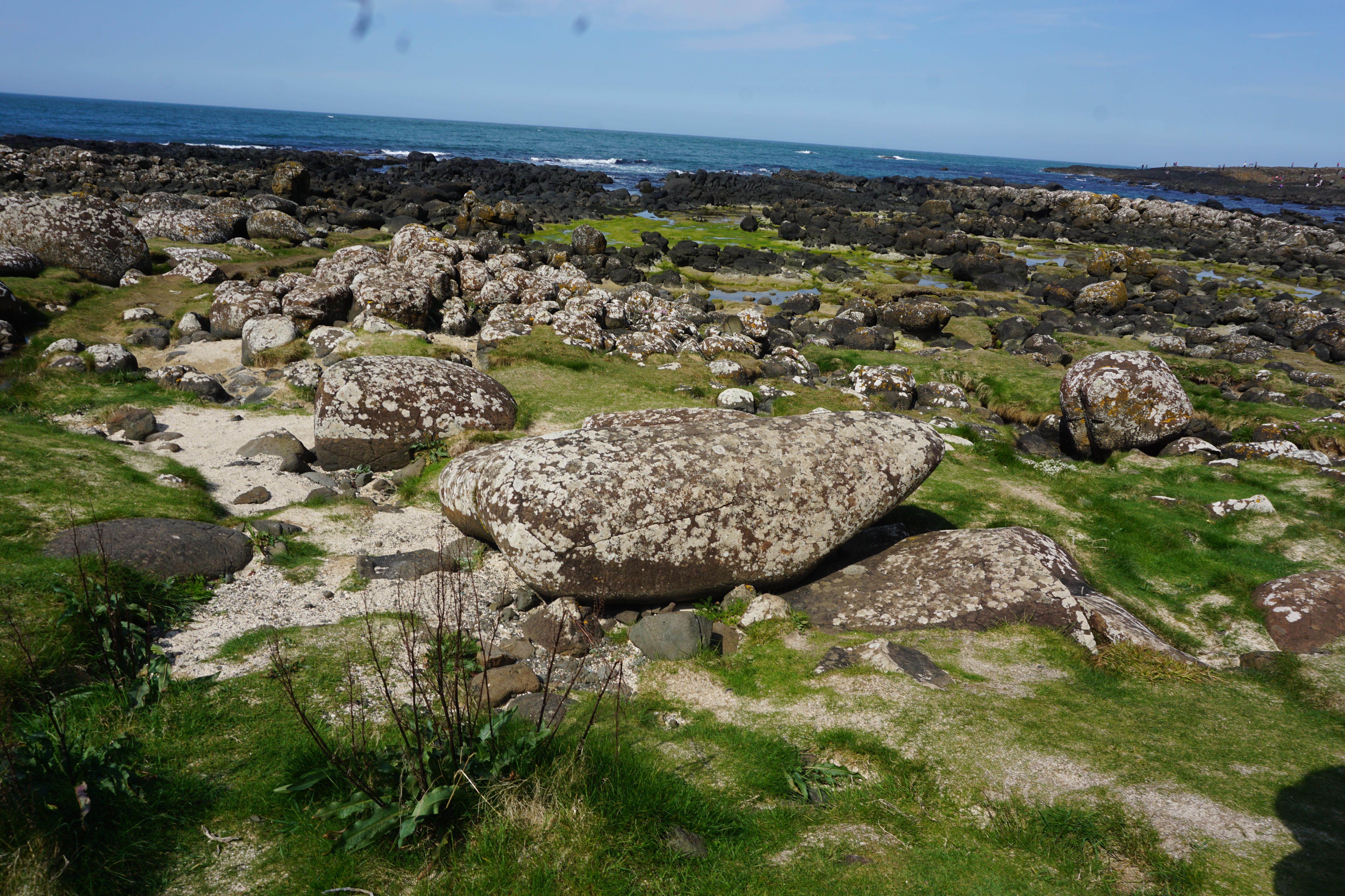 Vegan Travel - The Spectacular Giant's Causeway and Belfast, Ireland