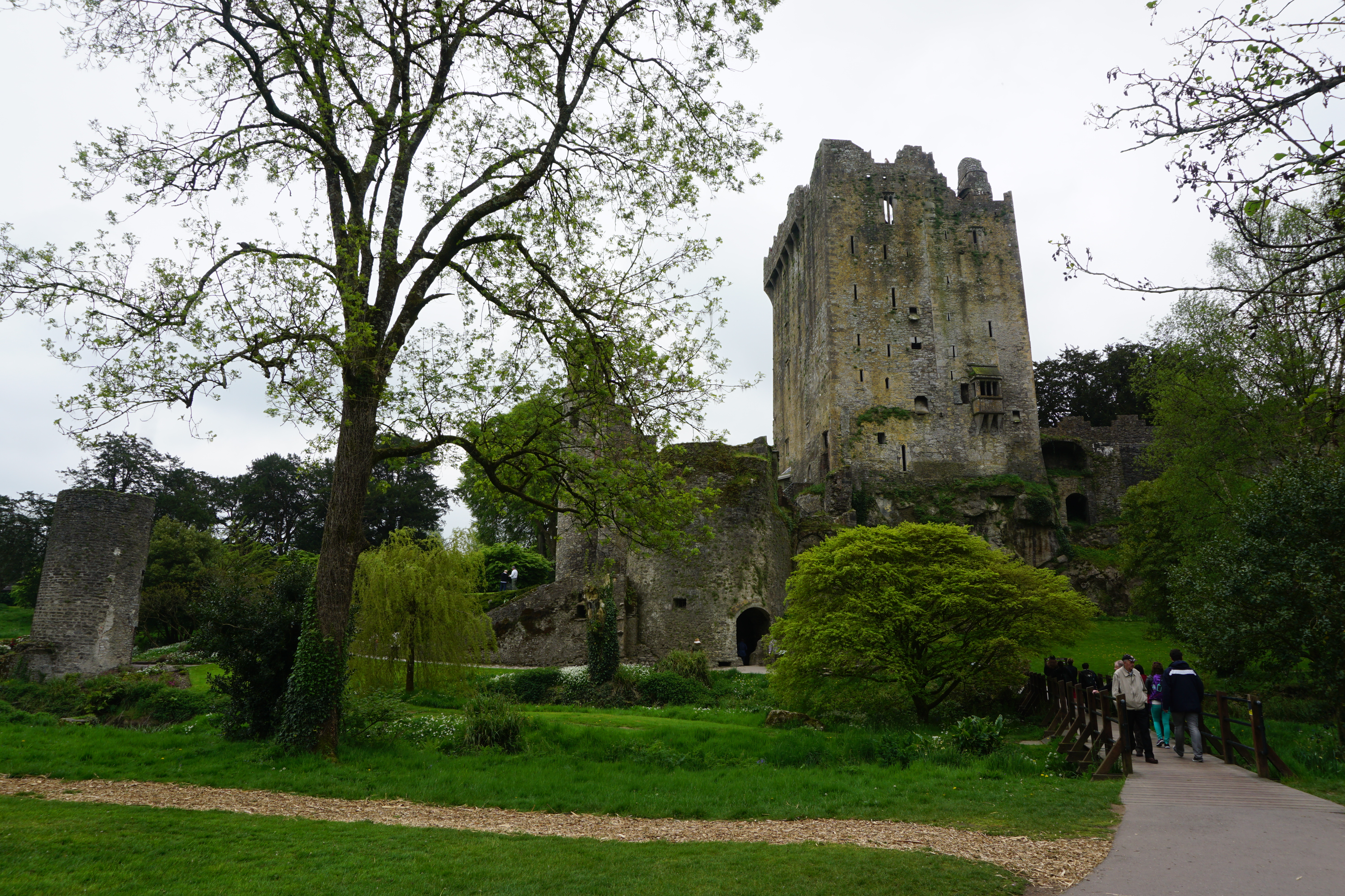Vegan Travel- A Day at Blarney Castle, Rock of Cashel,  & Cork, Ireland