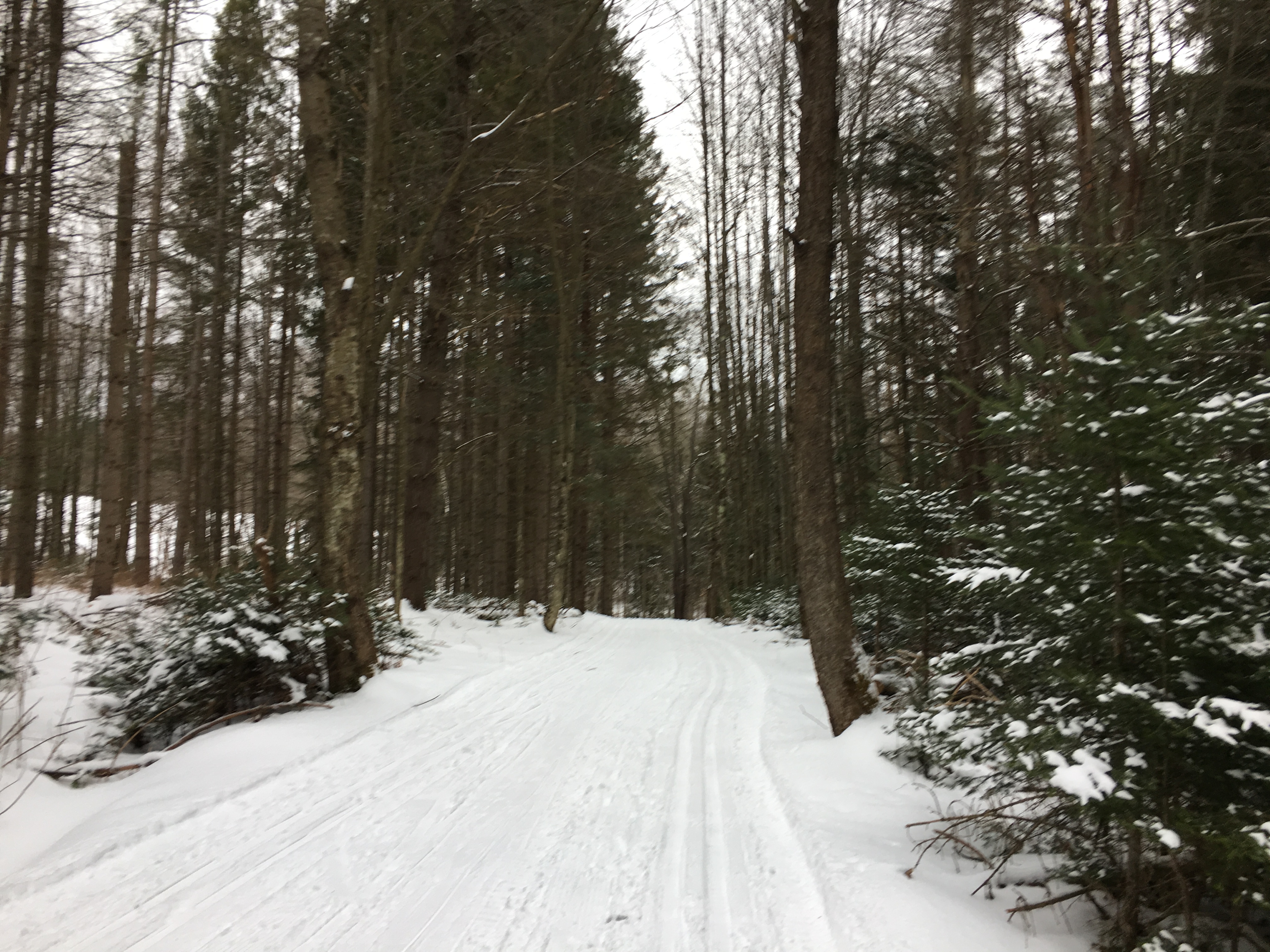 Vegan Travel - Winter Day Trip To Mad River Valley Vermont