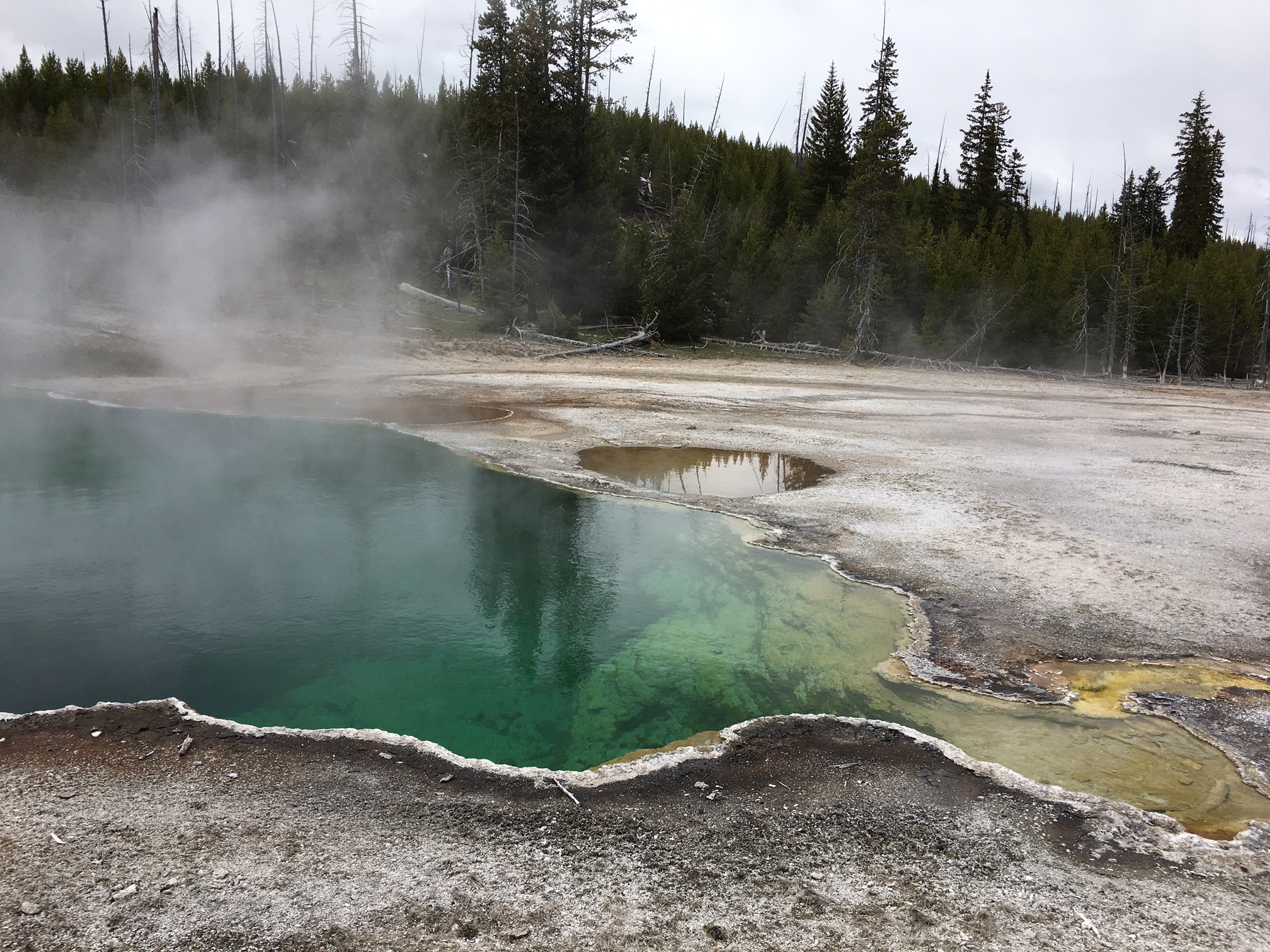 Vegan Travel - A Weekend Getaway to Yellowstone National Park