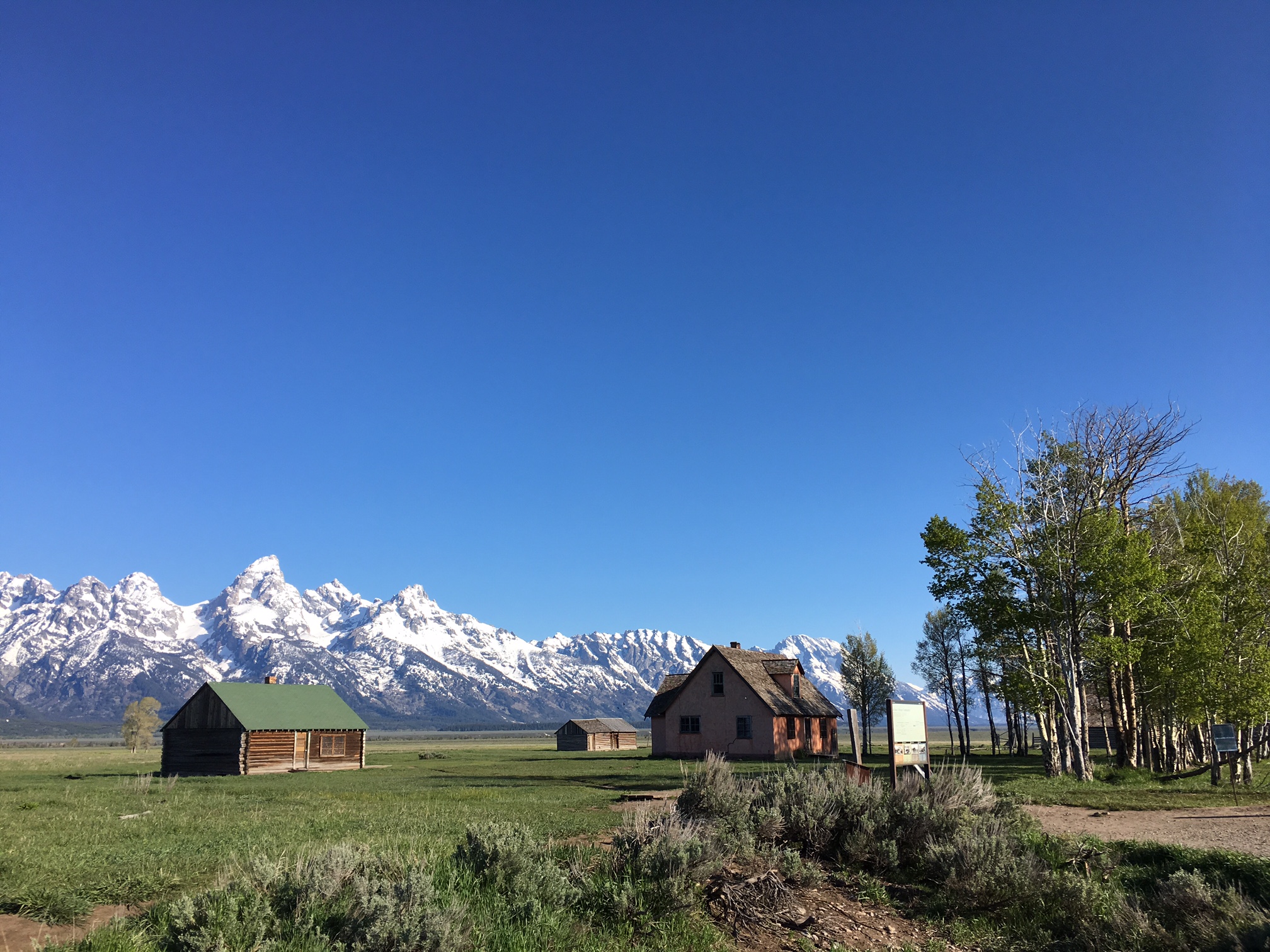 Vegan Travel - A Day in Wyoming's Grand Teton National Park