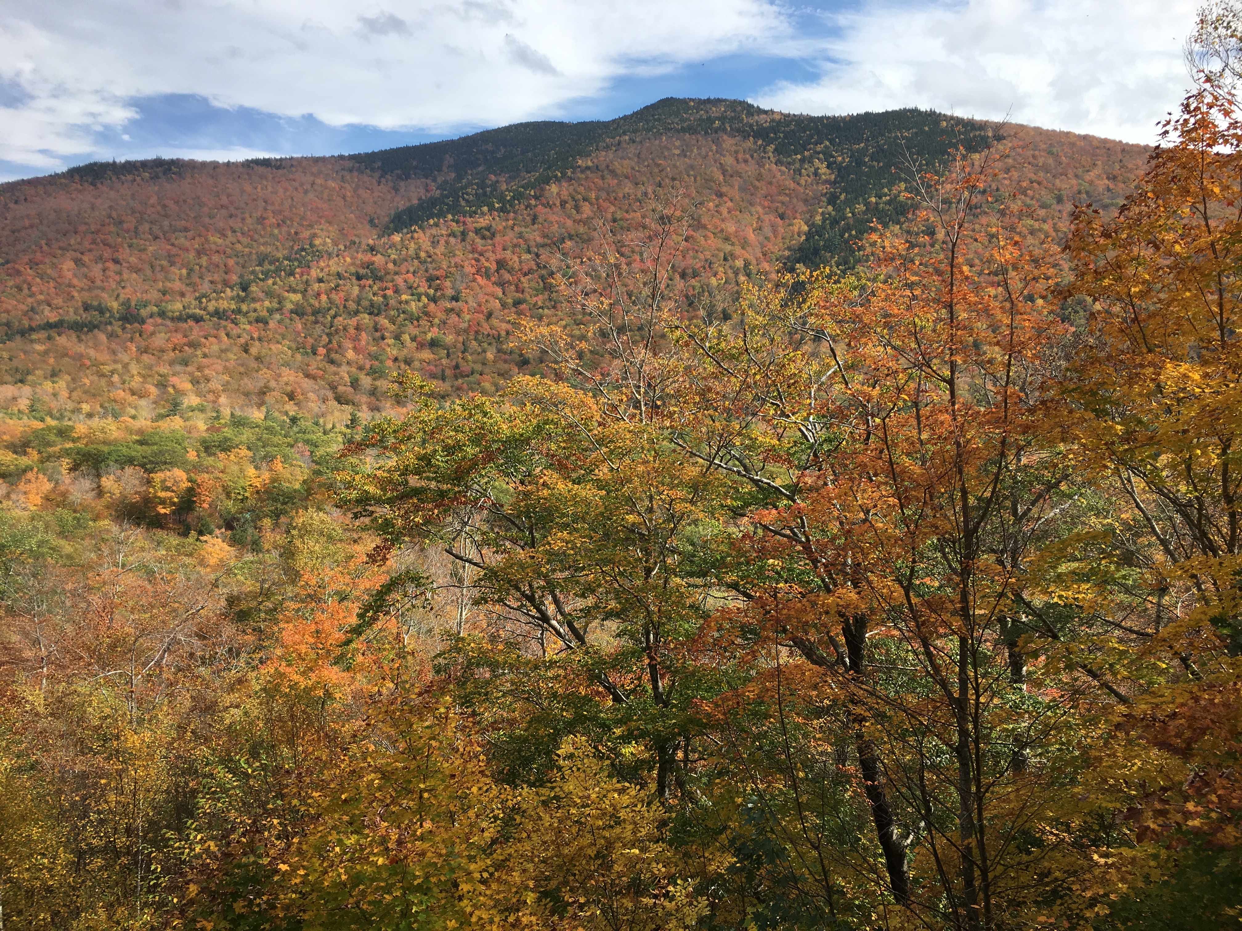 Vegan Travel - Fall Foliage Adventures in New Hampshire